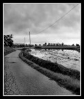 Viaggio tra i ricordi