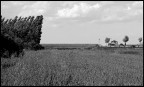 Nuvole  e vento
