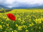 L'intruso rosso