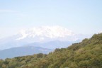 MONTE ROSA