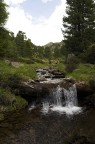 acqua pura di montagna....