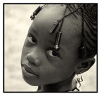 delphine