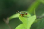 Macro su macro