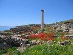 rovine di un'antica citt fenicia nella penisola del Sinis