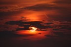Sole solitario