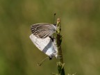 lo facciamo alla luce del sole??