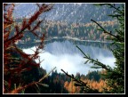 Spiando il Paradiso