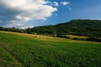 collina landscape