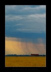 The Yellow Storm