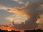 from my window........