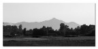 Campagna