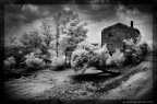 Bianconero ricavato da foto con filtro infrarosso.
Obiettivo 28mm f/10 - 100 iso e 1/200" circa....