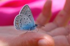 Le due bambine (NonSoloFoto 16/17 giugno)