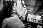 The Boxer