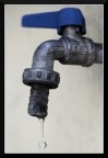 CAROVANE PER L'ACQUA: 24 GIUGNO - 1 LUGLIO

Da domenica 24 al'1 luglio quattro carovane percorreranno l'Italia, toccando tutti i capoluoghi di regione ed i territori in cui sono nate vertenze sul tema dell'acqua. In ogni tappa verr organizzata un'iniziativa pubblica.

L'1 luglio le carovane confluiranno a Roma per l'evento di chiusura, portando simbolicamente le firme che saranno consegnate il 10 luglio al Presidente della Camera... <a href="http://www.acquabenecomune.org/">www.acquabenecomune