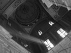 Luce