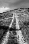 la Via...