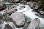 le forme dell'acqua