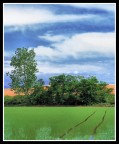 Tracce umane