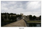 Avignone