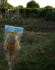 Non ho idea di chi voglia spaventare questo strano "spaventapasseri"...
