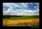 Paesaggio di luglio