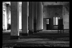 Mental Asylum Series III