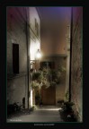 &quot;Blooming Alley@2007&quot;