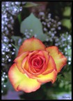 Foto in HDR