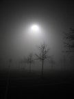 nebbia in un parcheggio