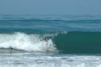 surf