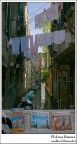 venezia semplice