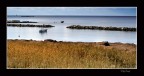 Sguardi nel blu