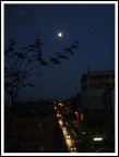 il notturno