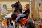 Cavaliere in Esibizione prima della Festa. 
A parte le gambe del cavallo Tagliate penso per il resto sia OK
Mi ha colto alla Sprovvista... 
Consigli e critiche ben Accetti