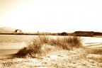le saline
