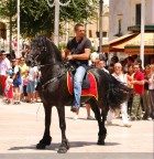 Questo Cavallo Ballava, si impennava in Tutta tranquillit.
Commenti e Critiche Ben Accetti 
Matera 1 Luglio 2007 Prefesta MAria Santissima della Bruna