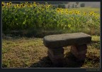Giallo con seduta