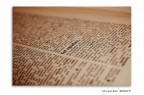 voce del verbo: fotografare