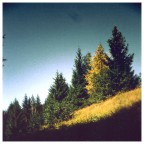 holga