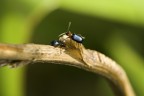 sigma 180mm, iso100, f 13, 1/15 sec, treppiede, scatto a filo.