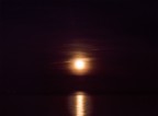 GOOD NIGHT