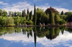 ninfa
