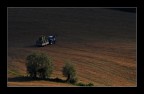ai confini della luce..