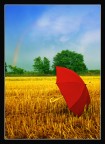 &quot;Summer Colours&quot;: riflessioni estive