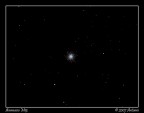 M13