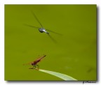 Operazioni in Volo