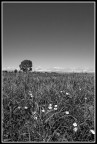 Separati dall'orizonte