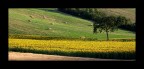 Paesaggio solare