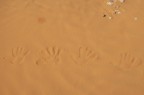 mani nel deserto